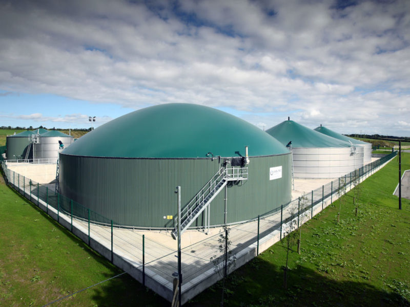bio_australia-1mw-plant